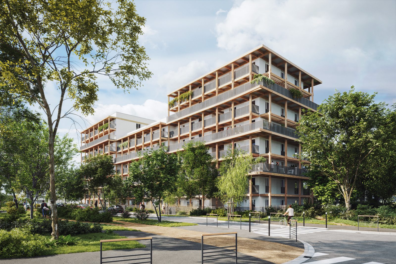 BOIS DE NAGOYA à Toulouse — visuel 1 sur 1