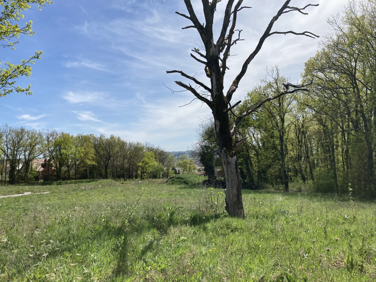 Le Clos des bleuets à Creuzier-le-Vieux — visuel 1 sur 1