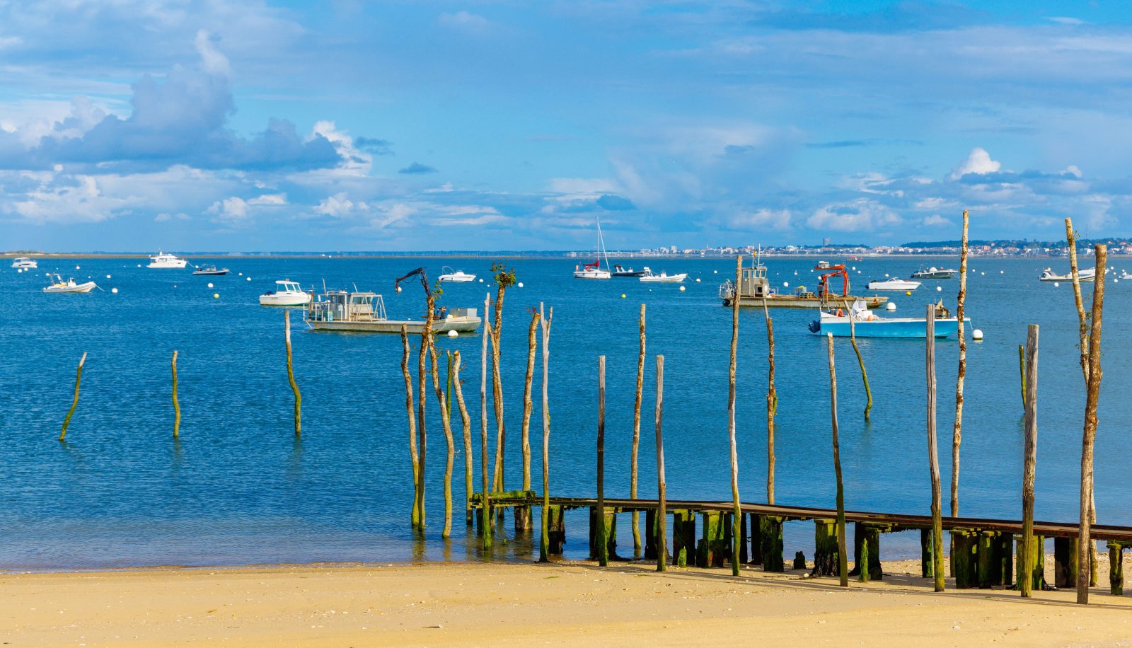 Programme neuf VILLA D'ETE à Arcachon — visuel 1 sur 1