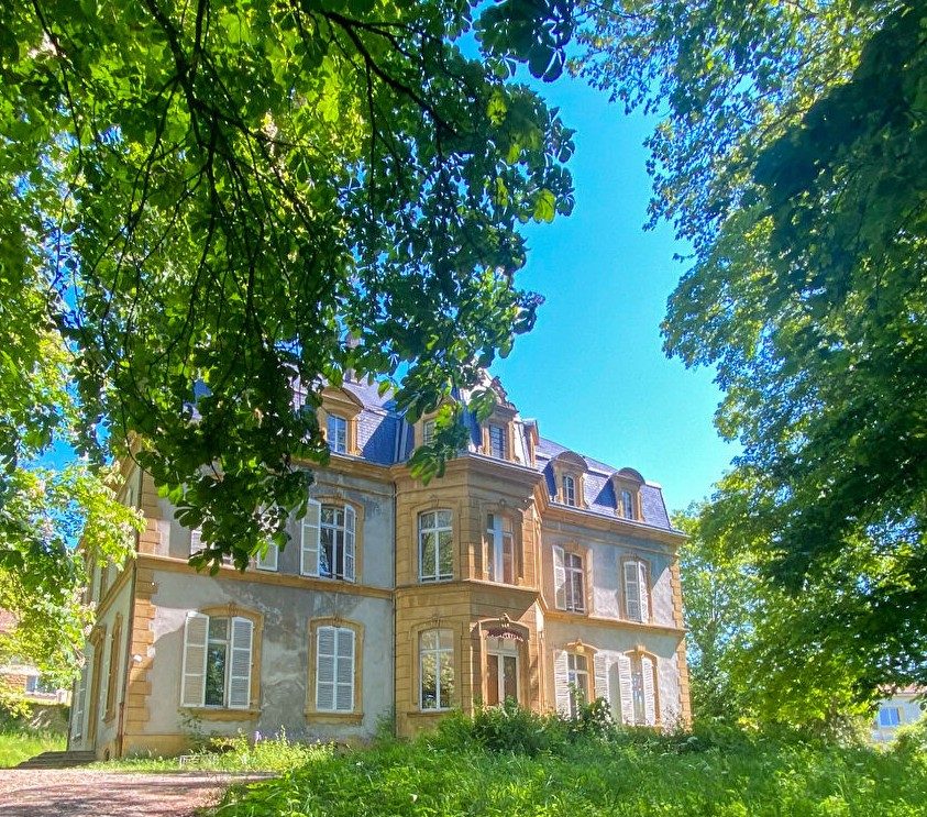 LE DOMAINE DU CHATEAU - ARS SUR MOSELLE à Ars-sur-Moselle — visuel 1 sur 1