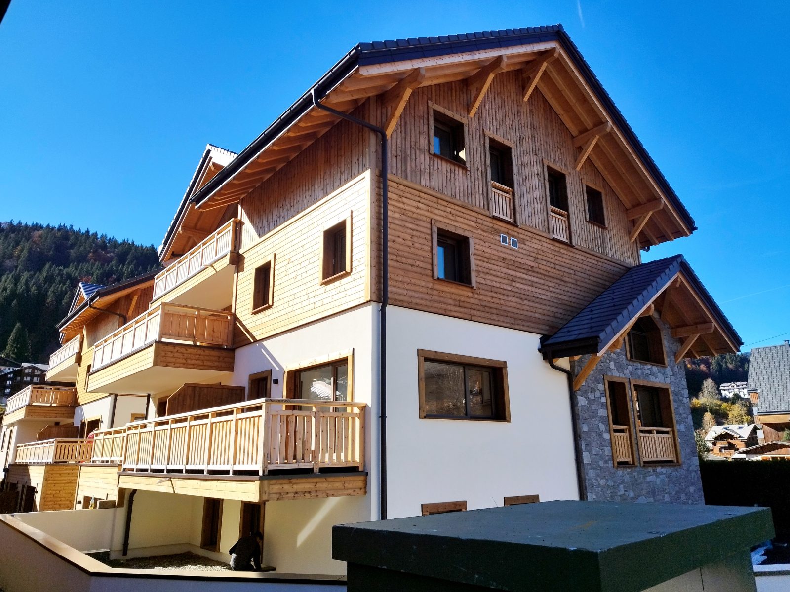 Programme neuf LES DENTS BLANCHES à Morzine — visuel 1 sur 1