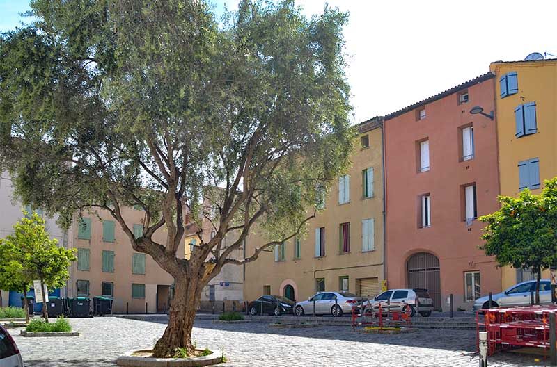 Saint-François à Perpignan — visuel 1 sur 1