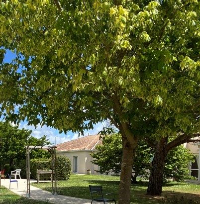 Les Aloes SAINT-SULPICE-DE-ROYAN - 17 à Saint-Sulpice-de-Royan — visuel 1 sur 1
