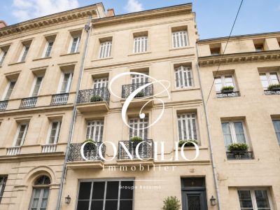 Rue de la Halle - BORDEAUX à Bordeaux — visuel 1 sur 1