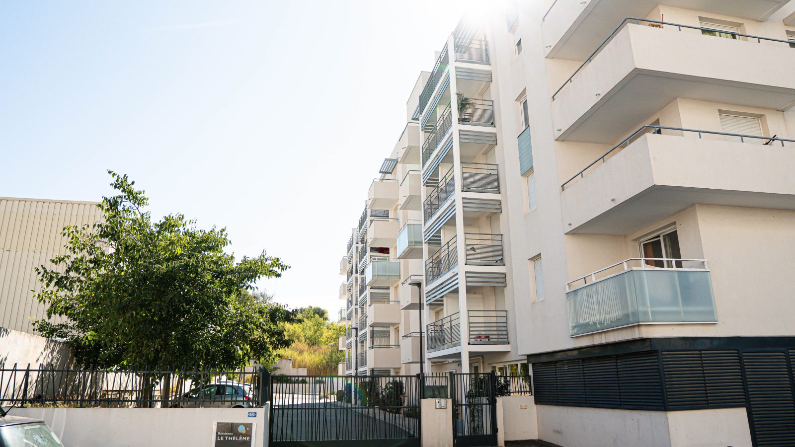 Le Theleme à Montpellier — visuel 1 sur 1