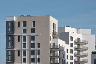 OVATION MAGELLAN 42 à Colombes — visuel 1 sur 1
